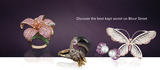 J&M Coin & Jewellery Ltd., Vancouver