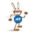 ADT Security Services, Baltimore