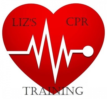  LIZ'S CPR TRAINING of LIZ'S CPR TRAINING 3910 Old Denton Rd - Photo 1 of 3