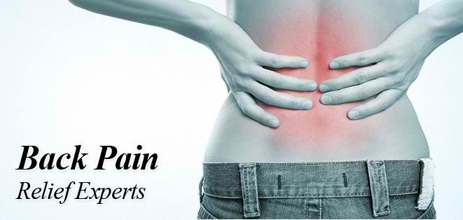  Profile Photos of Holistic Chiropractic & Wellness 150 S 600 E Ste 6C - Photo 1 of 1