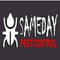  Profile Photos of Same Day Pest Control Brisbane, Queensland, 4000, Australia - Photo 1 of 5