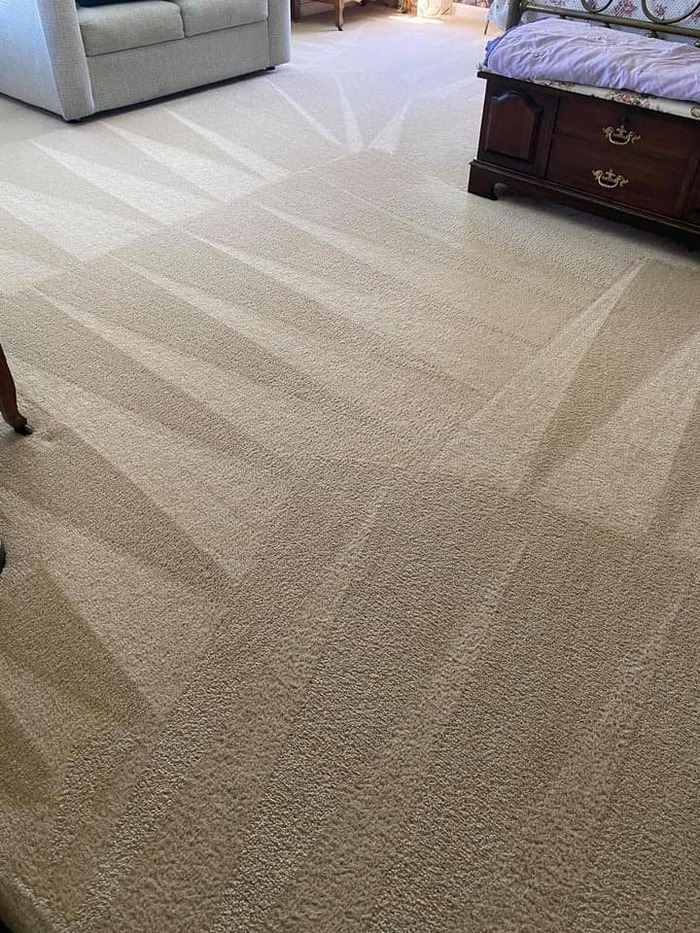  Profile Photos of Spotless Carpet Steam Cleaning 123 collins st - Photo 4 of 4