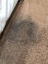 Profile Photos of Spotless Carpet Steam Cleaning