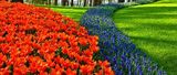  Westlakeâ€™s Lawn Care Service Pros 27300 Center Ridge Rd Unit 45097 