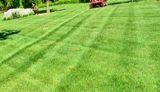  Westlakeâ€™s Lawn Care Service Pros 27300 Center Ridge Rd Unit 45097 