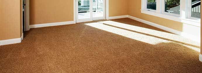  New Album of Carpet Cleaning Melbourne 123 collins St - Photo 3 of 7
