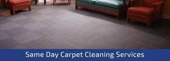  New Album of Carpet Cleaning Melbourne 123 collins St - Photo 4 of 7