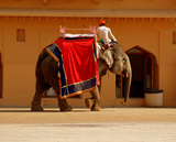 Titlyy - The Travel Company, New Delhi