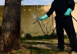  Altoona Pest Control 172 Quarry Road 