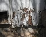 Altoona Pest Control, Hollidaysburg