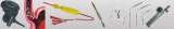 Hospiline Equipments Pvt. Ltd., New Delhi