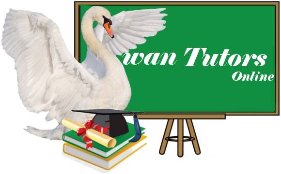  Profile Photos of Swan Tutors Online Pvt.Ltd 6-3-633/1 ,Khairthabad 'x' roads - Photo 1 of 1