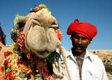 Travel East, New Delhi