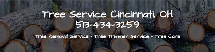  Profile Photos of Cincinnati Tree Removal 525 Vine Street #1175 - Photo 1 of 1