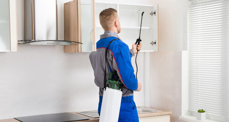  Profile Photos of Pest Control Service in West Vancouver , BC Vancouver , British Columbia - Photo 1 of 1