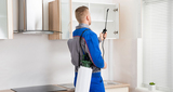 Pest Control Service in West Vancouver , BC, West Vancouver