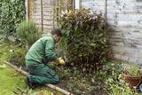 Guildford's best gardeners, Fantastic Services in Guildford, Guildford