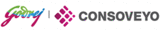 Godrej Consoveyo Logistics Automation Ltd., Navi Mumbai, Maharashtra, India