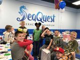 SeaQuest Interactive Aquarium, Layton