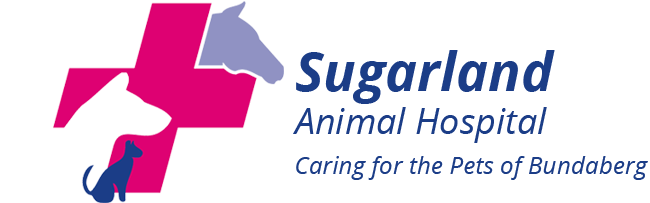  Profile Photos of Sugarland Animal Hospital 10 Heidke Street  Bundaberg, Queensland, 4670 - Photo 1 of 1