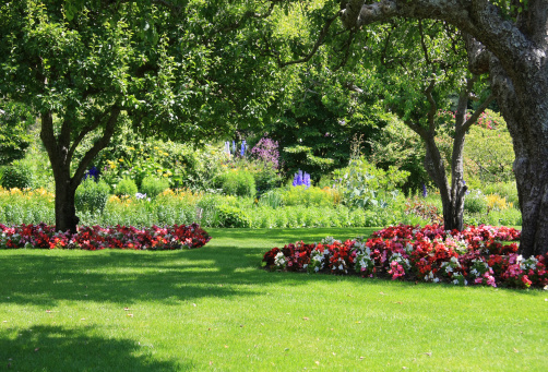  Profile Photos of Michaels Irrigation LLC St. Louis, MO, 63103 - Photo 1 of 1