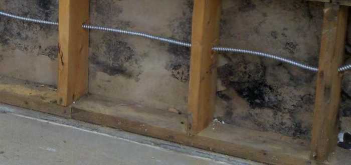 New Album of Catstrong Inspections of Killeen 16942 Texas 195 - Photo 1 of 9