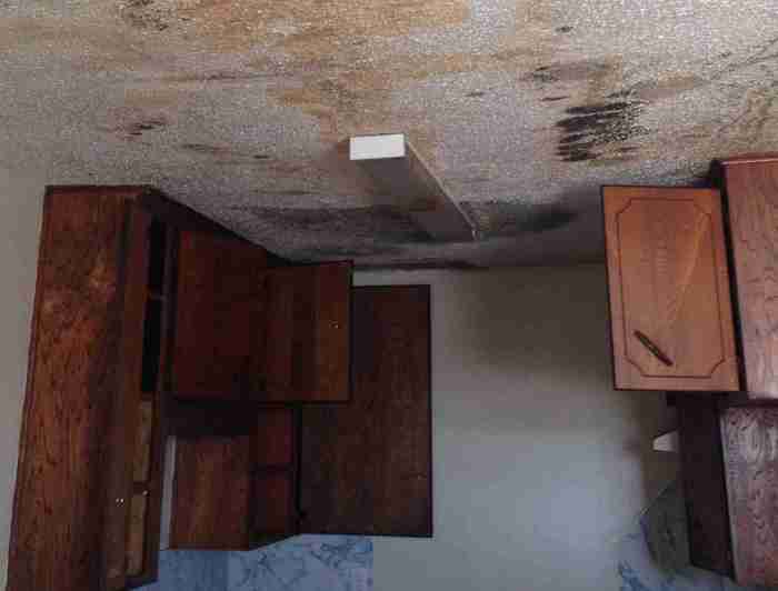 New Album of Catstrong Inspections of Killeen 16942 Texas 195 - Photo 2 of 9