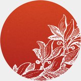  Essendon Natural Health 187 Buckley St 
