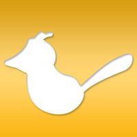 Profile Photos of JaySocial 8310, Elkins Park, Fairview Road - Photo 1 of 1