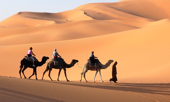  Profile Photos of Desert Life Tourism AlphamedÂ Building, Office #308, Abu hail, Hor Al Anz East, P.O Box 81457, Dubai, UAE. - Photo 2 of 2