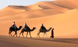 Desert Life Tourism, dubai