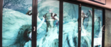 window stickers, Wild Cow Visual, Minto