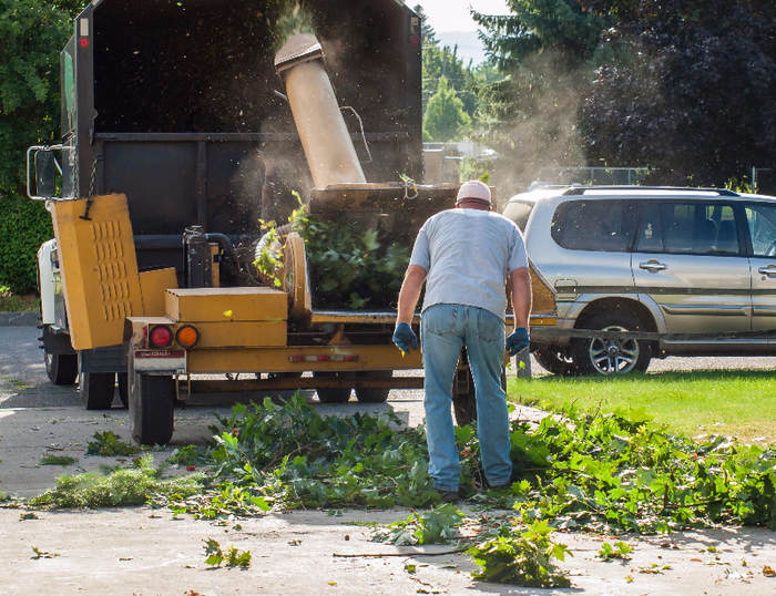  Our Work of Tree Service Minneapolis 1103 4th St SE #3 - Photo 1 of 7
