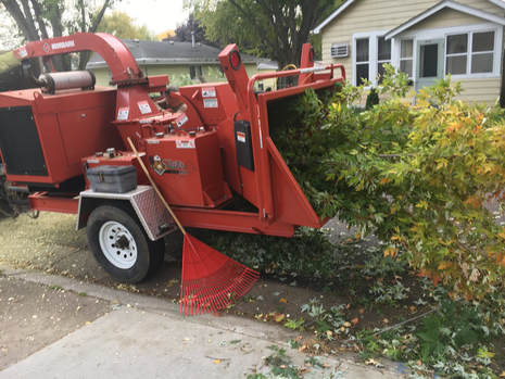  Our Work of Tree Service Minneapolis 1103 4th St SE #3 - Photo 4 of 7