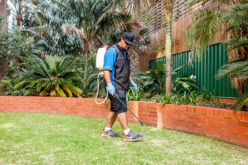  Profile Photos of Sydney Side Pest Control U34/6-12 Carrington Ave - Photo 2 of 4