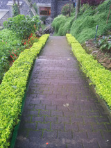  Landscaping Services 27A/82, Vellalar Street, Mugappair West, Chennai. 