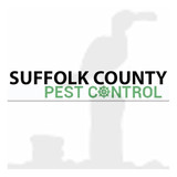  Suffolk County Pest Control 30 West Tamarack St 