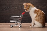 LITTLE CRITTERS PET SHOP, Burkburnett