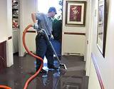 Ramano Water Damage Cleaning, Valenica
