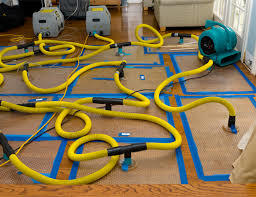  Profile Photos of Charles Ontario Water Damage Remediation 1855 E. Riverside dr space 191 - Photo 1 of 1