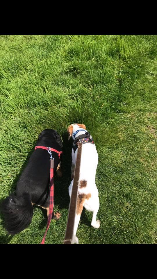  Profile Photos of The Pet Friends 6 Leigh St - Photo 1 of 1