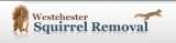 Westchester Squirrel Removal, Purchase