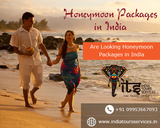  India Tours Services Street No. 44, PVT-985, KH-NO.14/21, 3rd floor, west sant Nagar, Burari, New Delhi 110084 