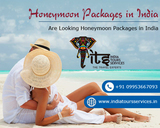 India Tours Services, west sant Nagar, Burari,
