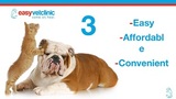  easyvetclinic Veterinarian Murfreesboro TN 2705 Old Fort Pkwy M. 