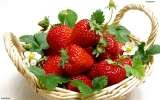 Purna Organics Pvt Ltd, Bangalore