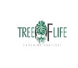 Tree Life Coaching Services - Vision in Life, Edwardsville