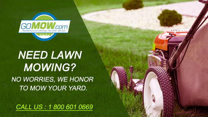  GoMow Lawn Mowing Services of GoMow Lawn Care Services 101 S. Coit Road Suite 36-115 - Photo 19 of 27