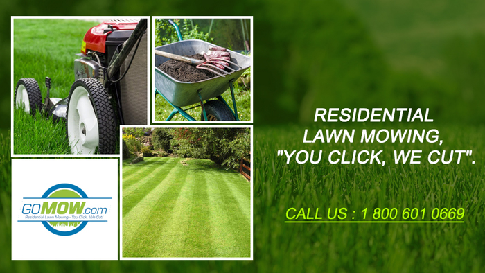  GoMow Lawn Mowing Services of GoMow Lawn Care Services 101 S. Coit Road Suite 36-115 - Photo 20 of 27