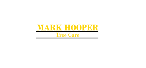 Profile Photos of Mark Hooper Tree Care 184 Fairmile Road, Christchurch, BH23 2LW - Photo 1 of 1